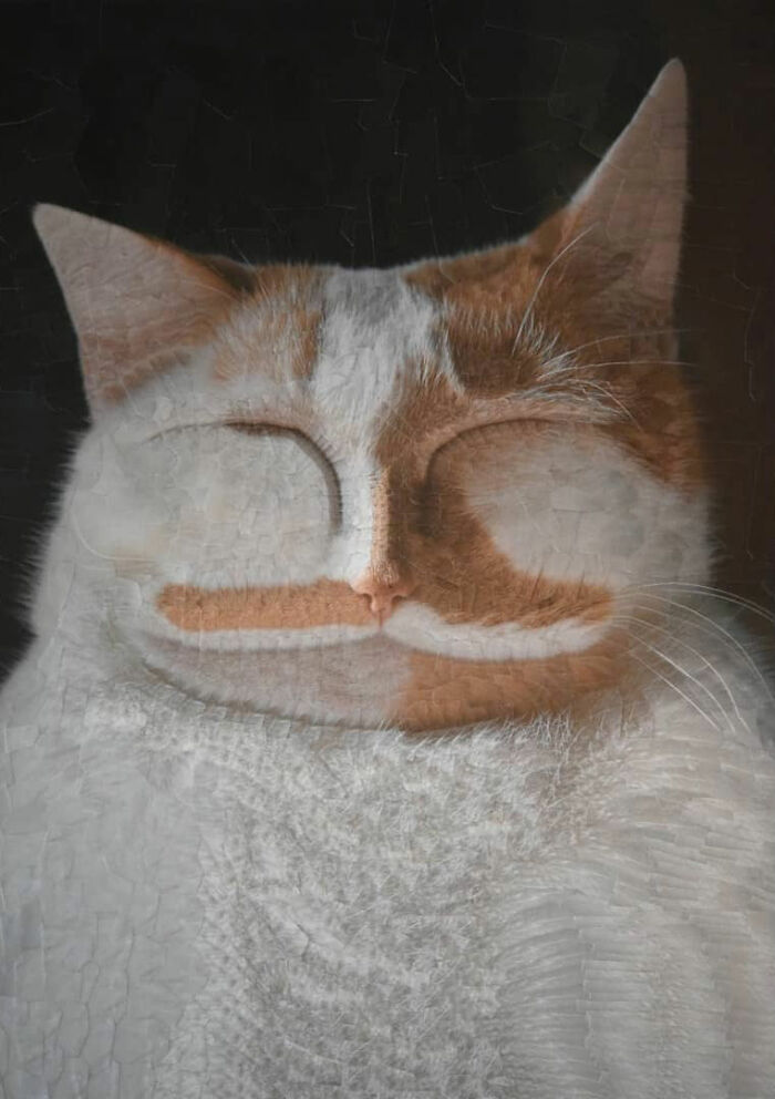 Transforming Animals: Lola Dupre's Artistic Fusion