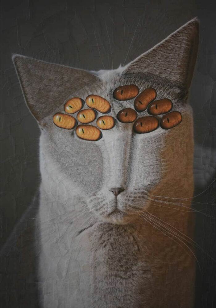 Transforming Animals: Lola Dupre's Artistic Fusion