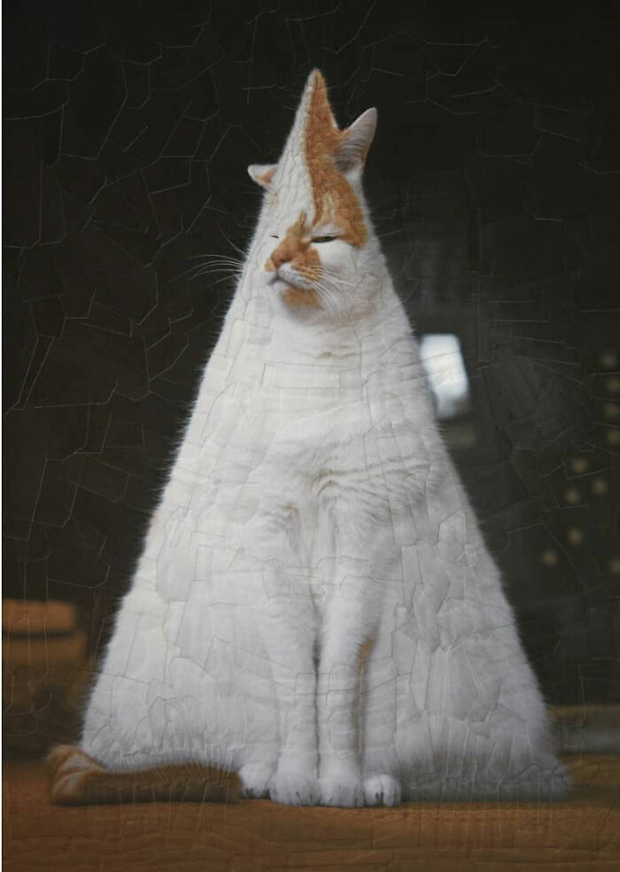 Transforming Animals: Lola Dupre's Artistic Fusion