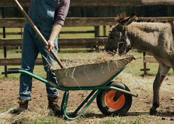 Company Dares Farmer To Take Them To Court Over The Damages They Caused, Regrets It Deeply Company Dares Farmer To Take Them To Court Over The Damages They Caused, Regrets It Deeply