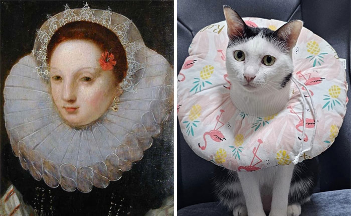 Accidental-Renaissance-Cats