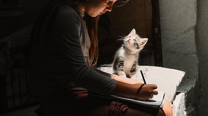 Accidental-Renaissance-Cats