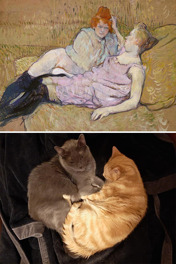 Accidental-Renaissance-Cats