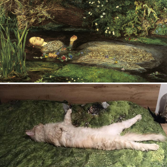Accidental-Renaissance-Cats