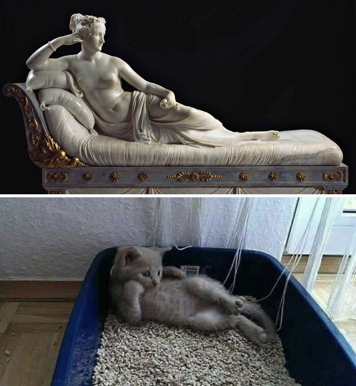 Accidental-Renaissance-Cats