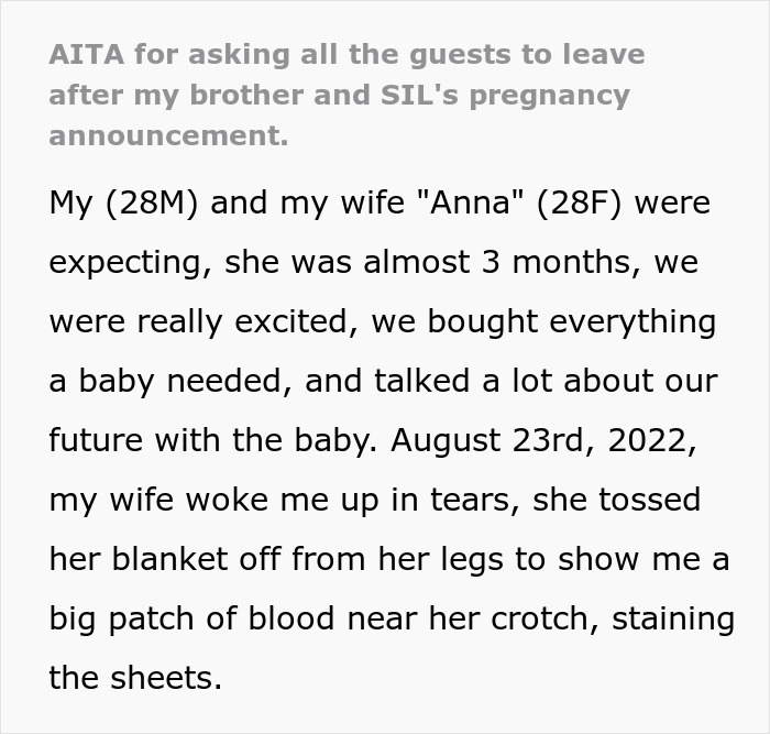 "AITA For Asking All The Guests To Leave After My Brother And SIL's Pregnancy Announcement?"