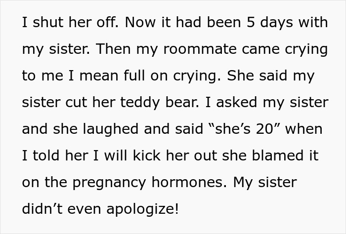 &ldquo;Pregnancy Doesn&rsquo;t Give You A Right To Act Non-Human&rdquo;: Man Kicks Sister Out Of His Apartment
