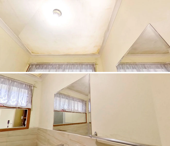 Real Estate Fixes Mold With Photoshop, Badly