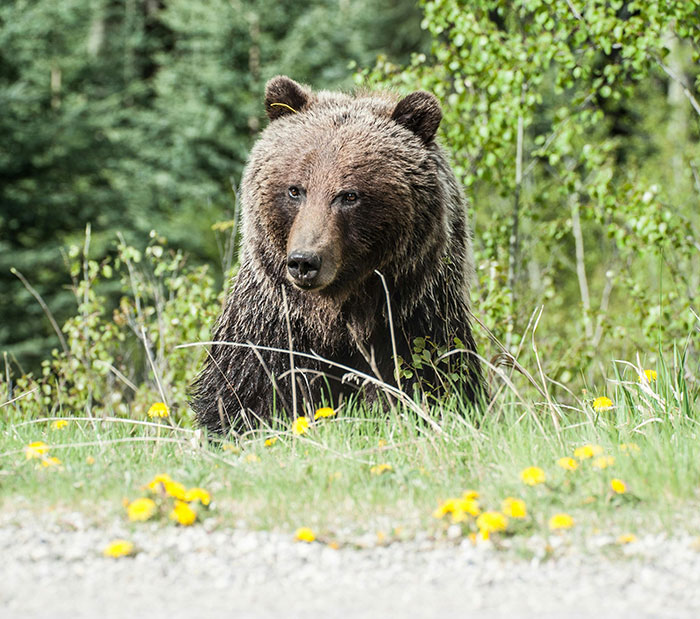 Internet Shows Zero Sympathy After Woman Complains Three Guys Watched Her Get Robbed Internet Shows Zero Sympathy After Woman Complains Three Guys Watched Her Get Robbed