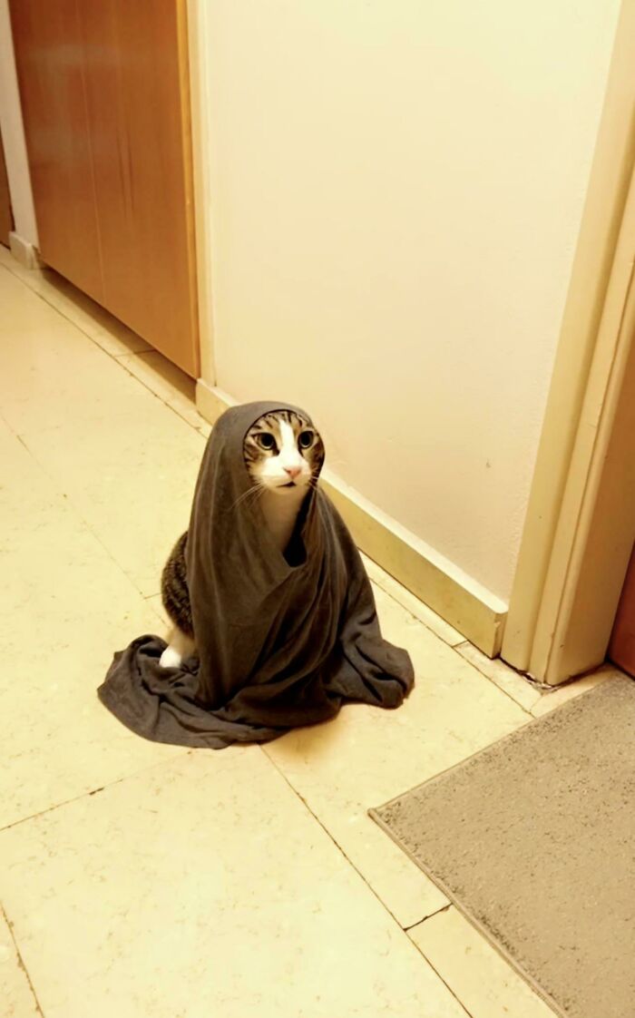 I Put My Shirt To The Floor Next To The Washing Machine. This Is Three Minutes Later