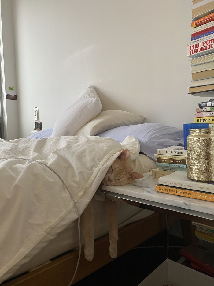 It's Been A Hard Life