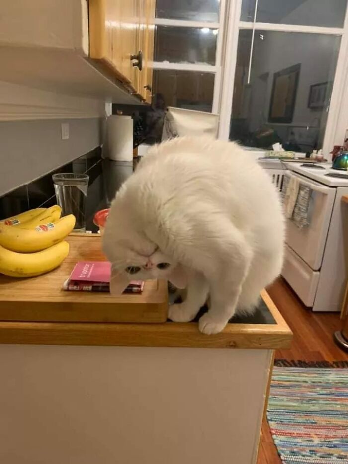 The Heck U Looking At