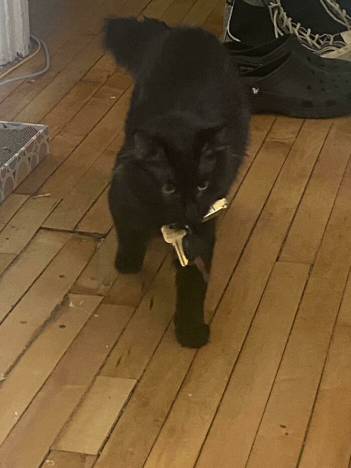 He Keeps Bringing Me My Keys From My Pants In The Other Room (Am Wearing Pajamas), Help