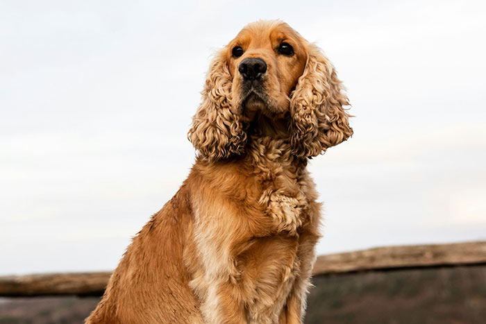 20 Hijos descubriendo que sus padres eran legendarios