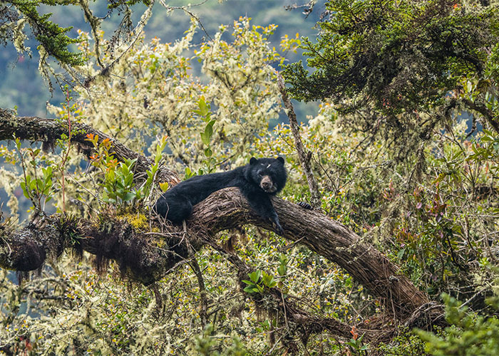 “Taking Cheerful Selfies In Inappropriate Places”: 30 Major Travel Mistakes Tourists Still Make