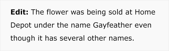 “Gayfeather”: Karen’s Homophobic Rant At Home Depot Sparks Heated Exchange “Gayfeather”: Karen’s Homophobic Rant At Home Depot Sparks Heated Exchange