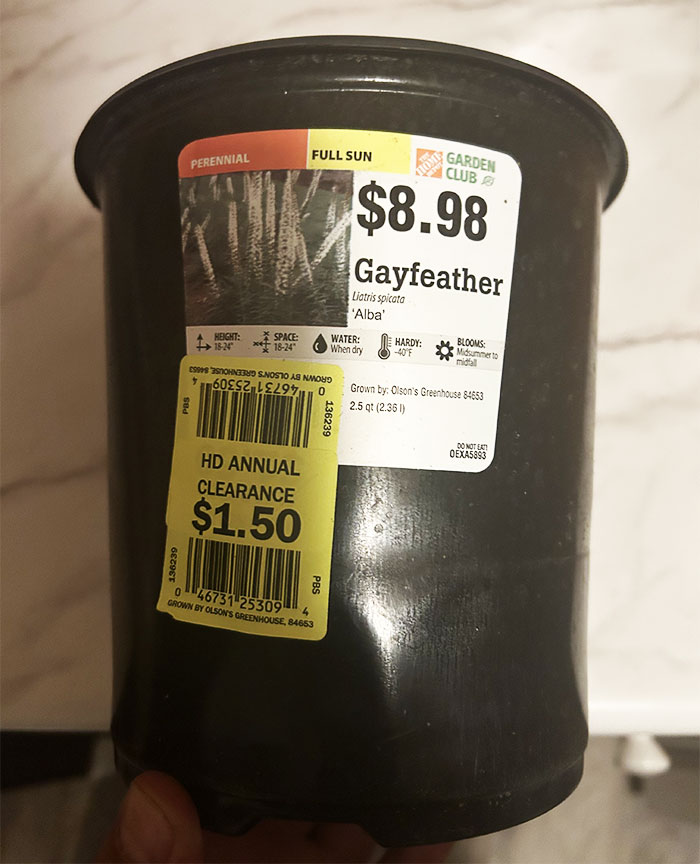 “Gayfeather”: Karen’s Homophobic Rant At Home Depot Sparks Heated Exchange “Gayfeather”: Karen’s Homophobic Rant At Home Depot Sparks Heated Exchange