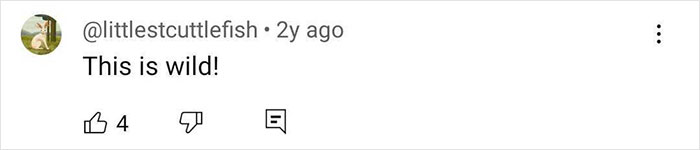 Comment saying "This is wild!" with thumbs up and down icons alongside.