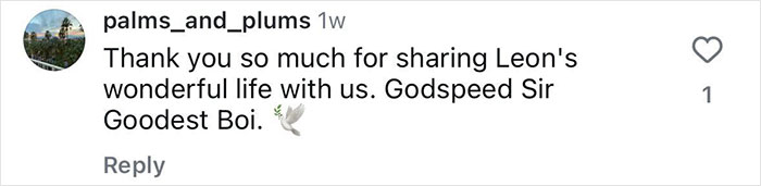 Sarma Melngailis Says She &ldquo;Wasn&rsquo;t Expecting&rdquo; To Lose Her Dog Which She Sought Immortality For