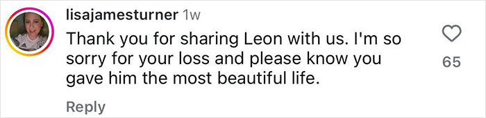 Sarma Melngailis Says She &ldquo;Wasn&rsquo;t Expecting&rdquo; To Lose Her Dog Which She Sought Immortality For