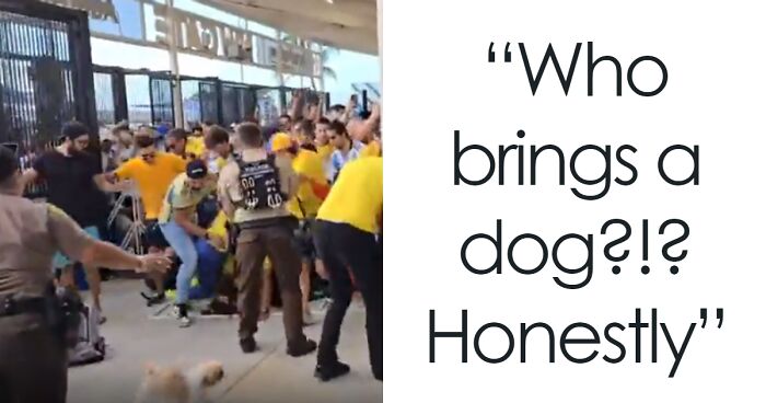 Thousands Of Soccer Fans Enter Stadium Without Tickets In Stampede, Putting Infants In Danger