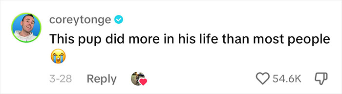 Police Dog Retires After Nearly A Decade Of Service, Heartwarming Video Is Spreading Online Police Dog Retires After Nearly A Decade Of Service, Heartwarming Video Is Spreading Online