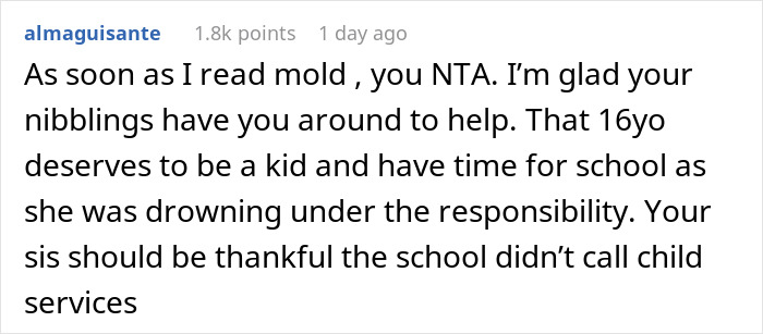 Woman Can&rsquo;t Believe How Bad Of A Mother Her Sister Is, Gives Her A Harsh Reality Check