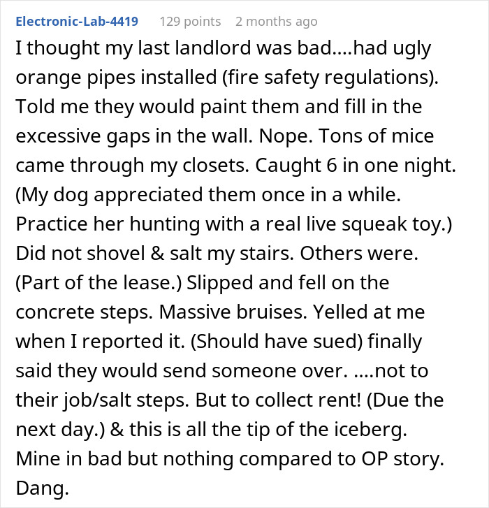 Woman Takes Revenge After 3 Years Of Hell, Leaves Landlord With Hefty Bill And Felony Charges