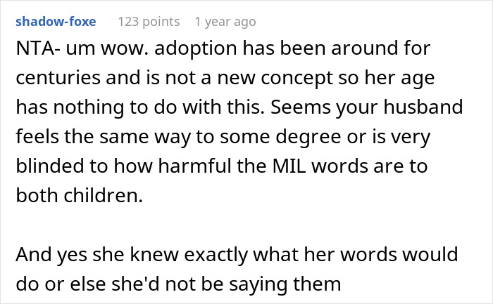 Mom Is Appalled To Learn MIL Filled 8YO Son's Head With Hate Towards Adopted 5YO Sister