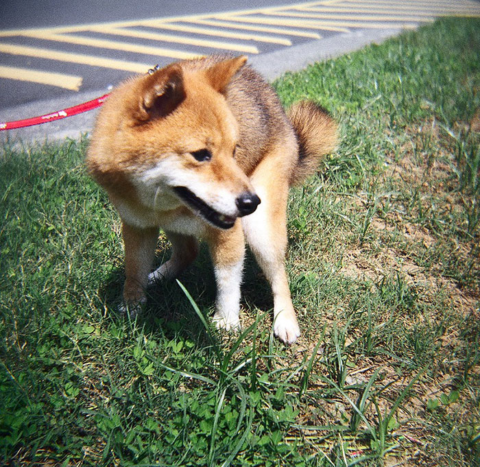 "What Kind Of Calculating, Cold Act Did You Commit?" (30 Answers)