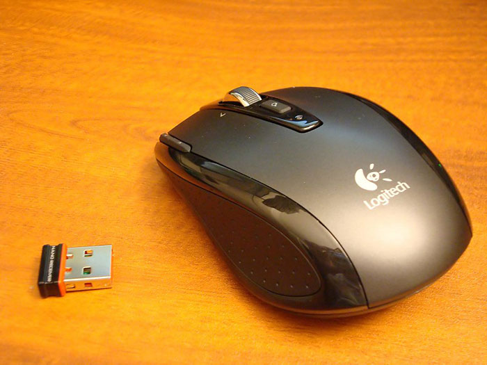 "What Kind Of Calculating, Cold Act Did You Commit?" (30 Answers)