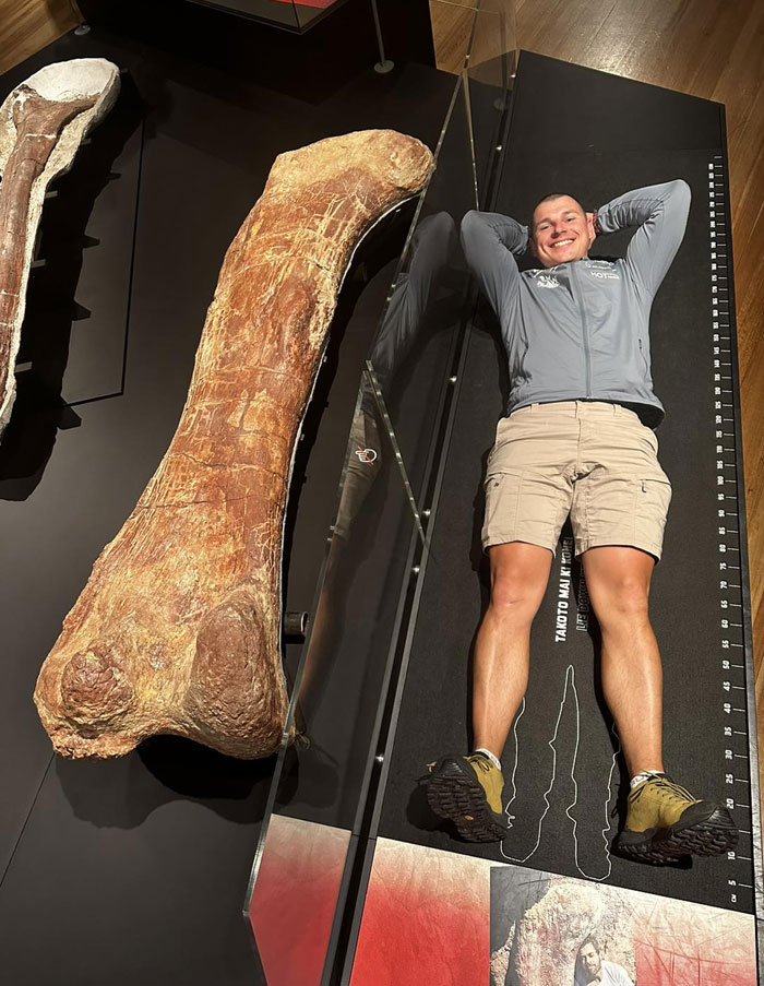 Human Next To The Femur Of Sauropod Patagotitan Mayorum. It Is One Of The Largest Dinosaurs In The History Of Our Life