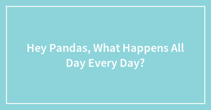 Hey Pandas, What Happens All Day Every Day?