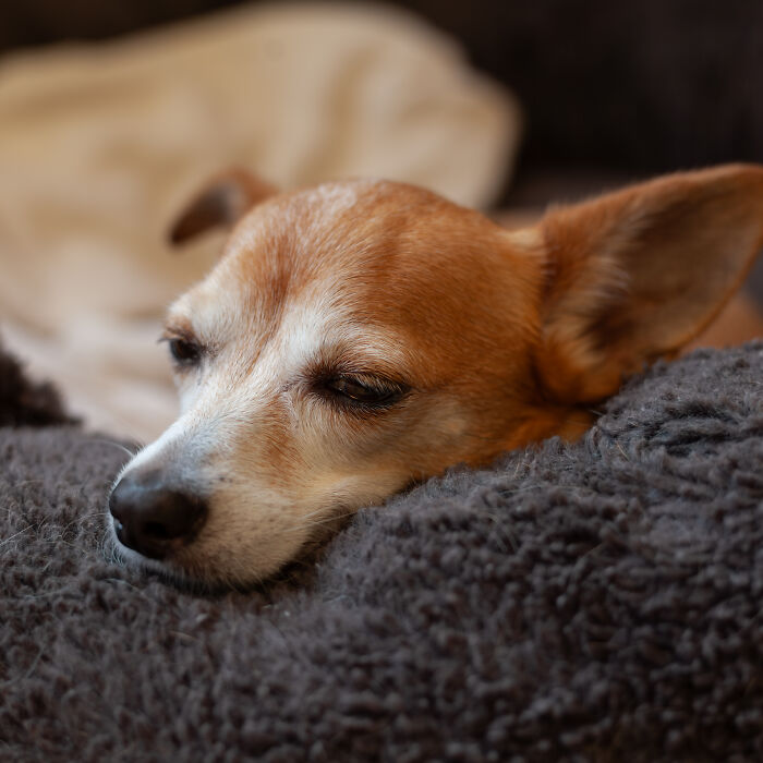 My First Shoot With The Canon 5d Mark II (9 Pics)