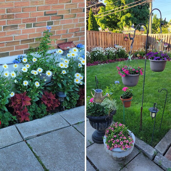 Hey Pandas, Post A Photo Of Your Beautiful Home Garden (Closed)