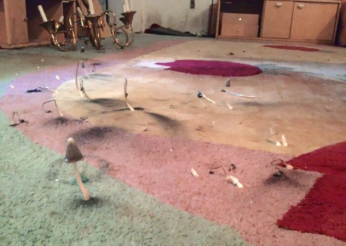 Haven't Been Down In The Basement In A While