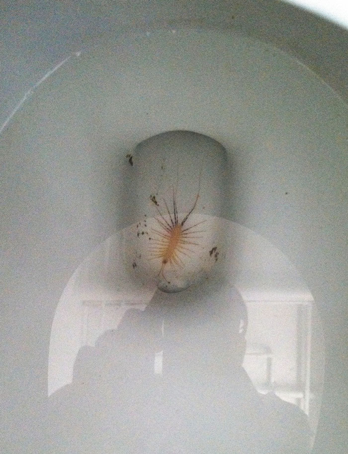 My Parents Have A Basement Bathroom. Didn't See It Till I Sat Down