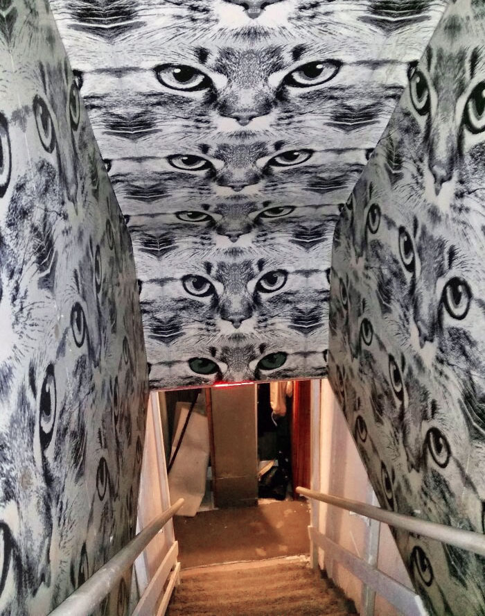 My Parent's Stairway To The Basement Has The Creepiest Wallpaper