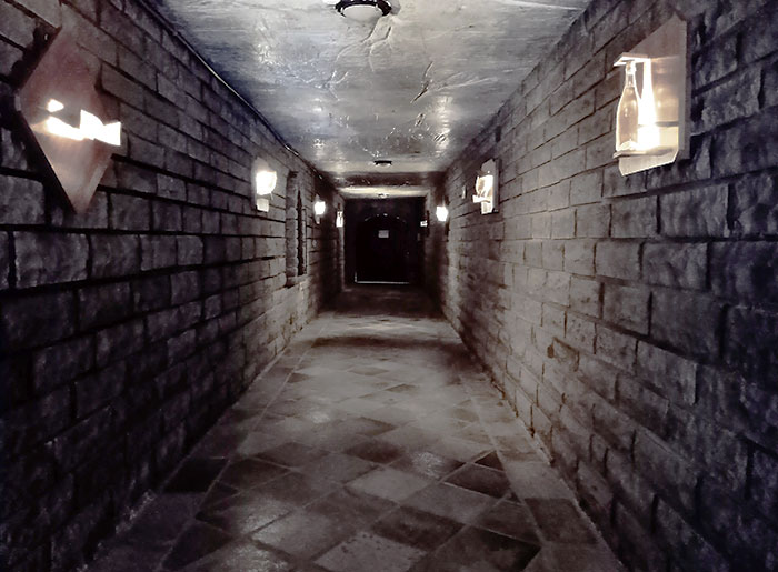 Visiting A Vineyard. Not Sure If The Entrance To Their Wine Cellar Or Dungeon