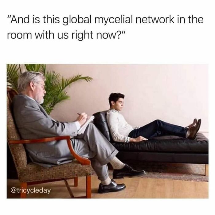 Dark-Side-Science-Memes