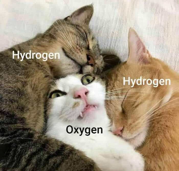 Dark-Side-Science-Memes