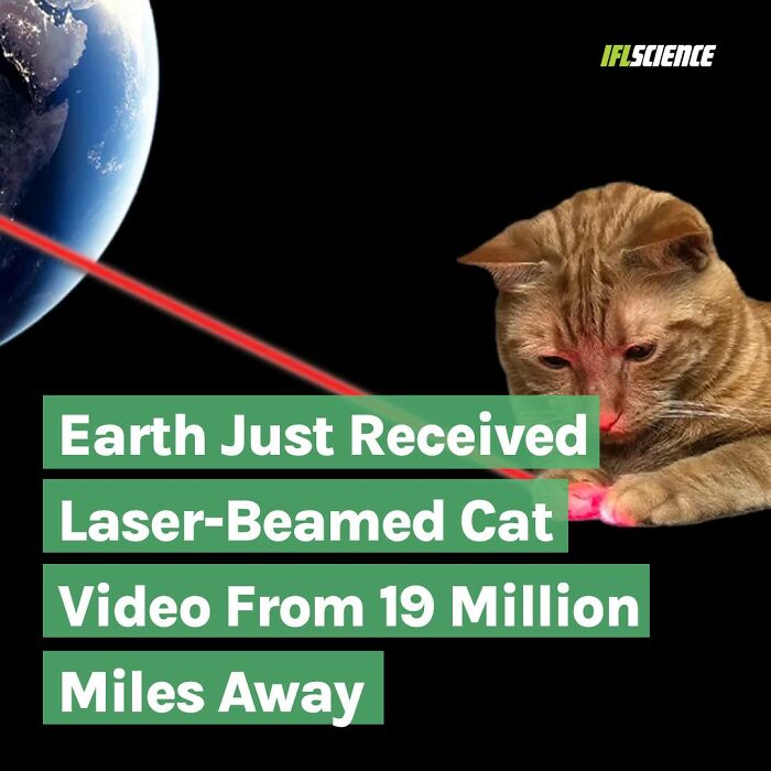 Dark-Side-Science-Memes