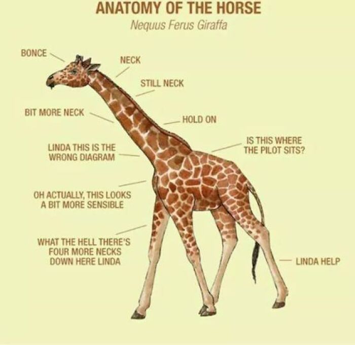 Dark-Side-Science-Memes