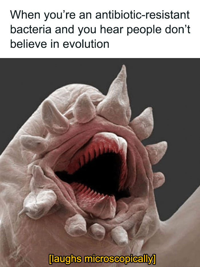 Dark-Side-Science-Memes