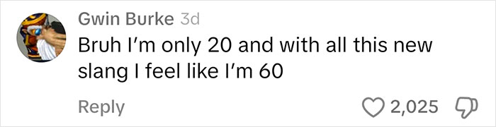 "Comment on viral dad learning slang from daughter, humorous generational gap reaction with 2,025 likes.