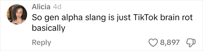 Comment about Gen Alpha slang and TikTok with 8,897 likes.