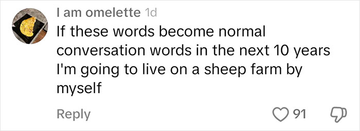 Comment about slang becoming mainstream, expressing disbelief, with 91 likes.