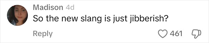 Comment questioning new slang as gibberish, related to dad learning slang from daughter.