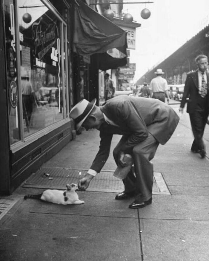 76 Vintage Photos Of Cats Posing With Famous People And Interesting Personalities (New Pics)