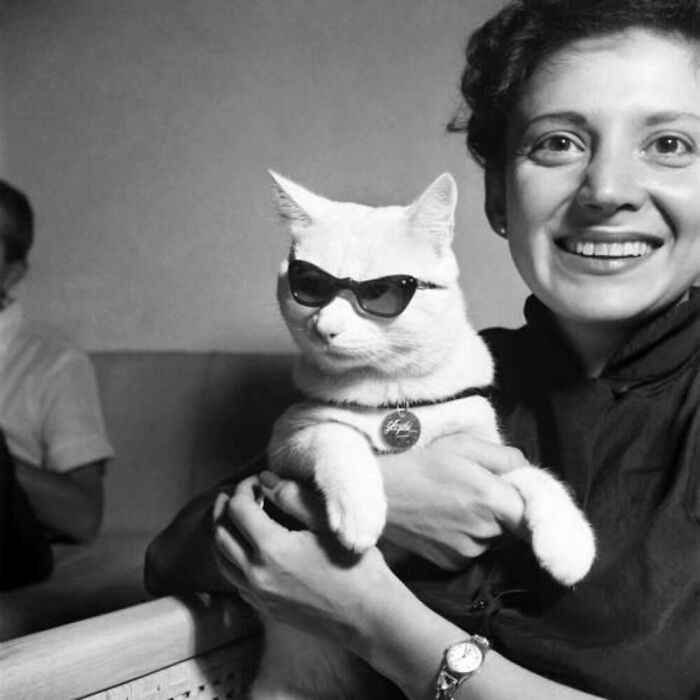 76 Vintage Photos Of Cats Posing With Famous People And Interesting Personalities (New Pics)